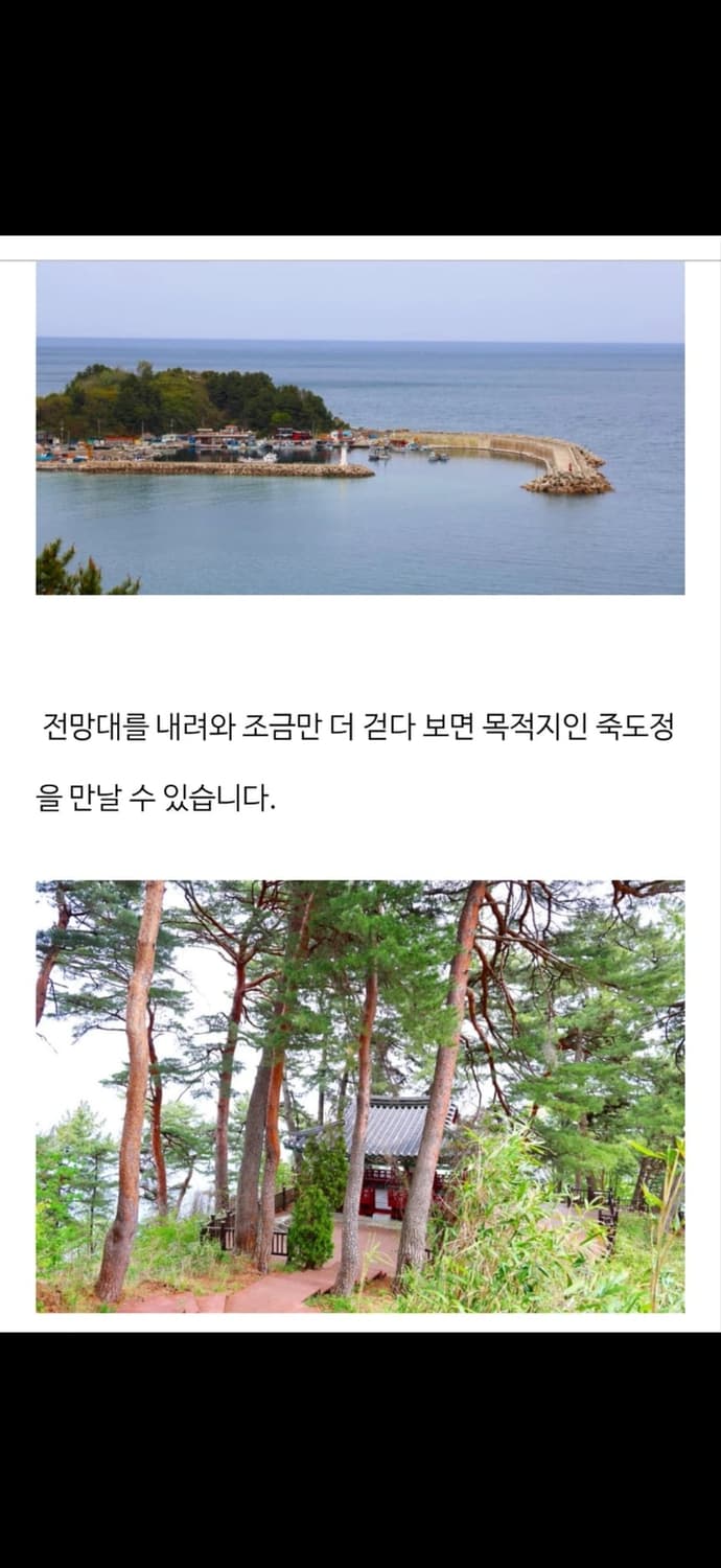 호텔 웨이브블렌트 양양 디럭스트윈 숙박권 6/6(토)-6/7(일) 상품이미지10