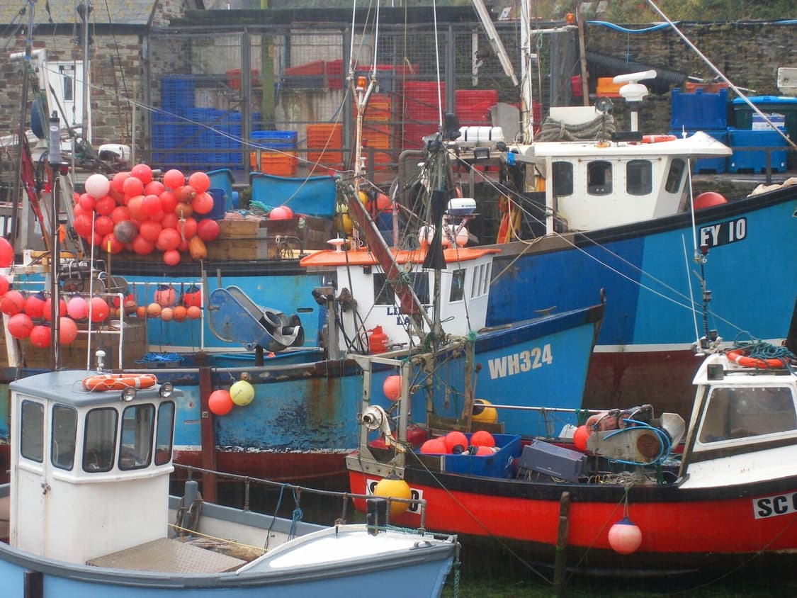 (입문강추) 산요작티 S60 디지털 카메라 상품이미지5