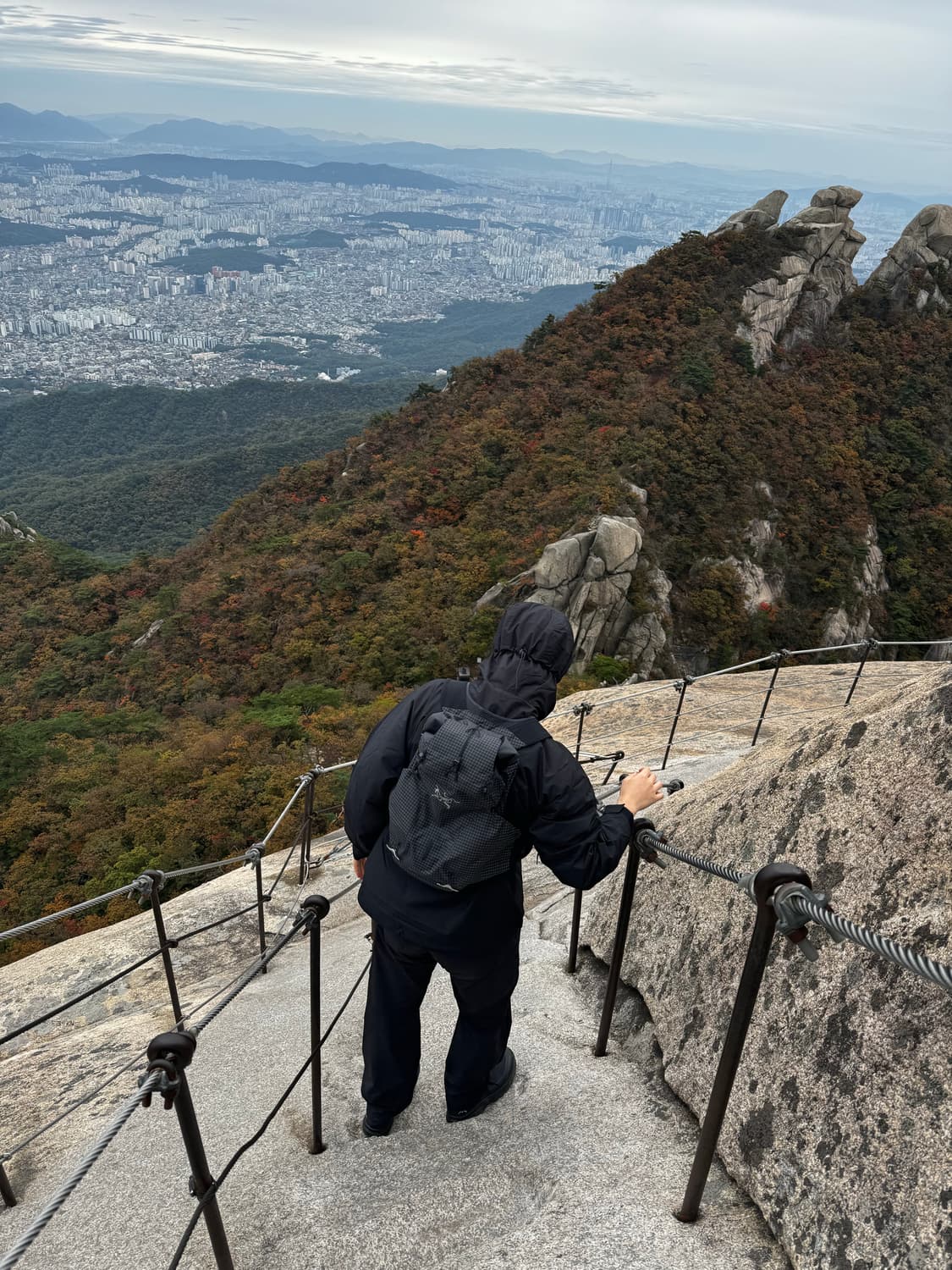 아크테릭스 노반14 베스트 L 사이즈 상품이미지3