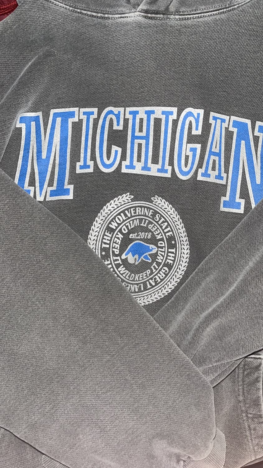 트래블 미시칸 후드티 상품이미지1