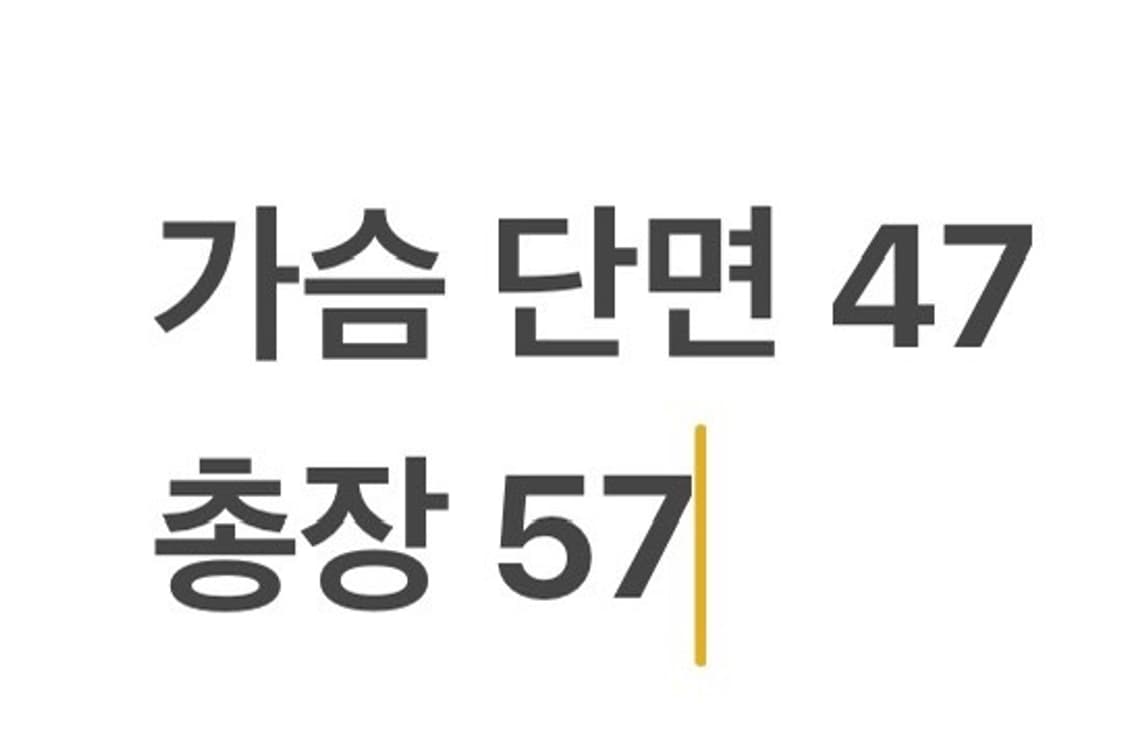 [정품/6] 폴로 랄프로렌 스트라이프 셔츠 블랙 화이트 b17 상품이미지10