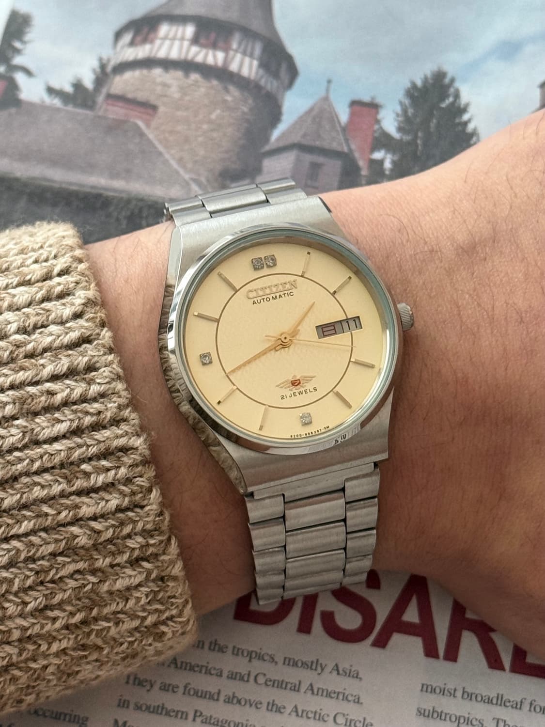 Citizen 시티즌 이글 오토매틱 데이-데이트 상품이미지7