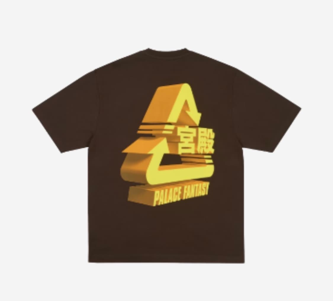 팔라스 트라이 판타지 티셔츠 브라운  상품이미지1