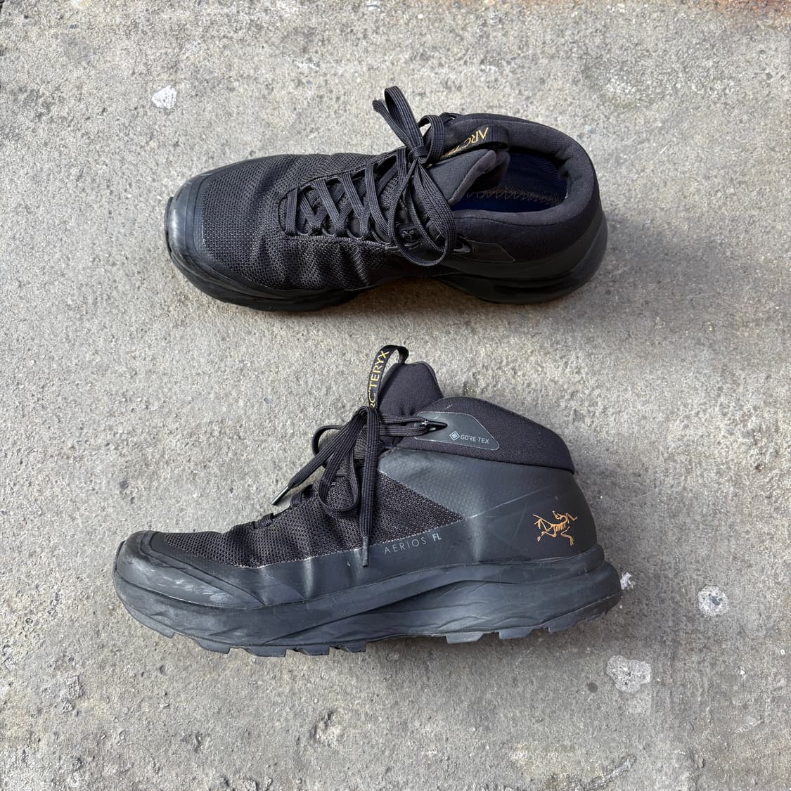 Arcteryx 아크테릭스 에어리어스 FL 고어텍스 (230~235) 상품이미지1