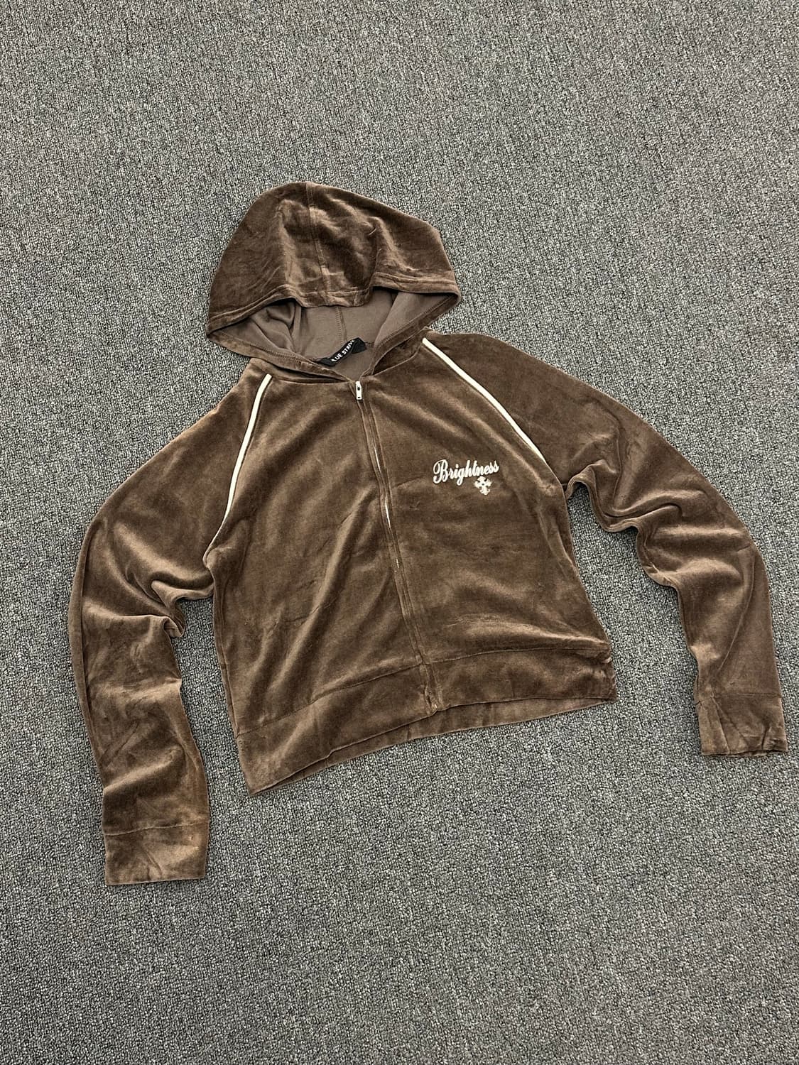 L)BLUE STRIVE 빈티지 여성 벨벳 후드집업 상품이미지1