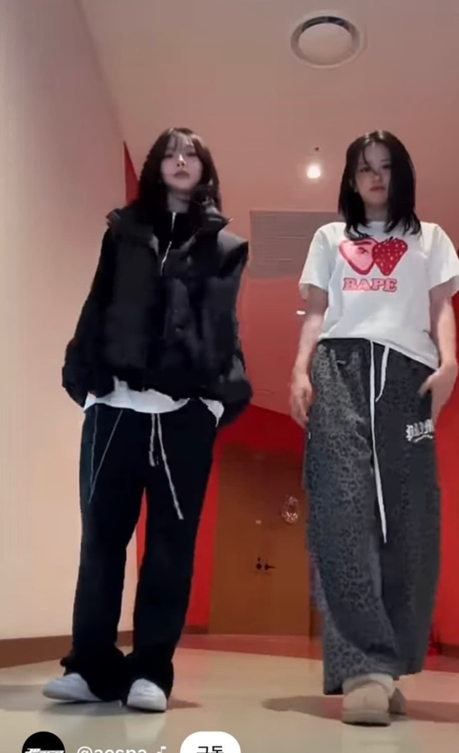 프라임멤버스 레오파드 팬츠 상품이미지3