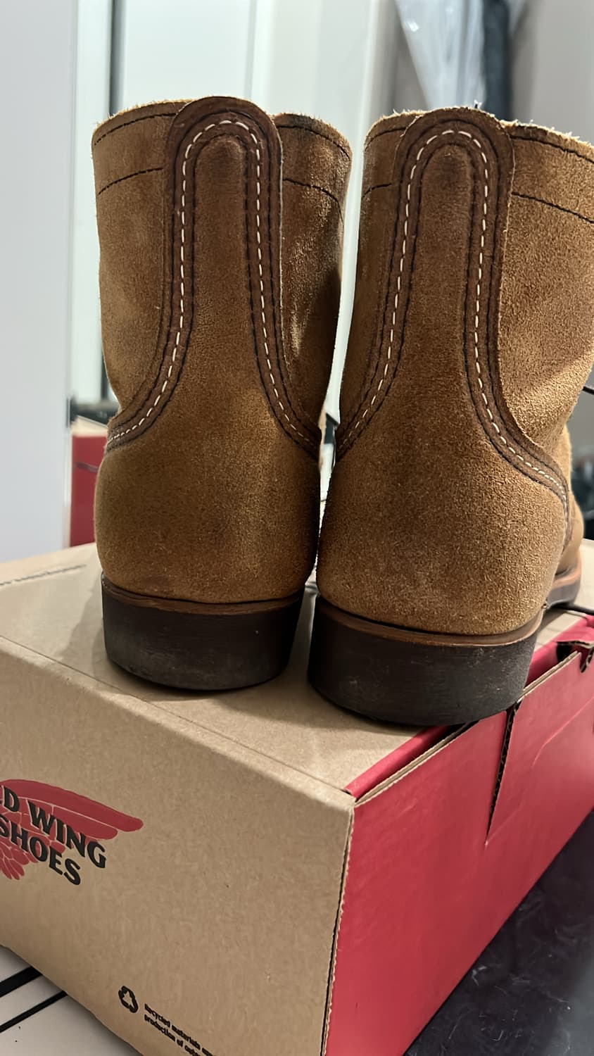 260 레드윙 8083 상품이미지4