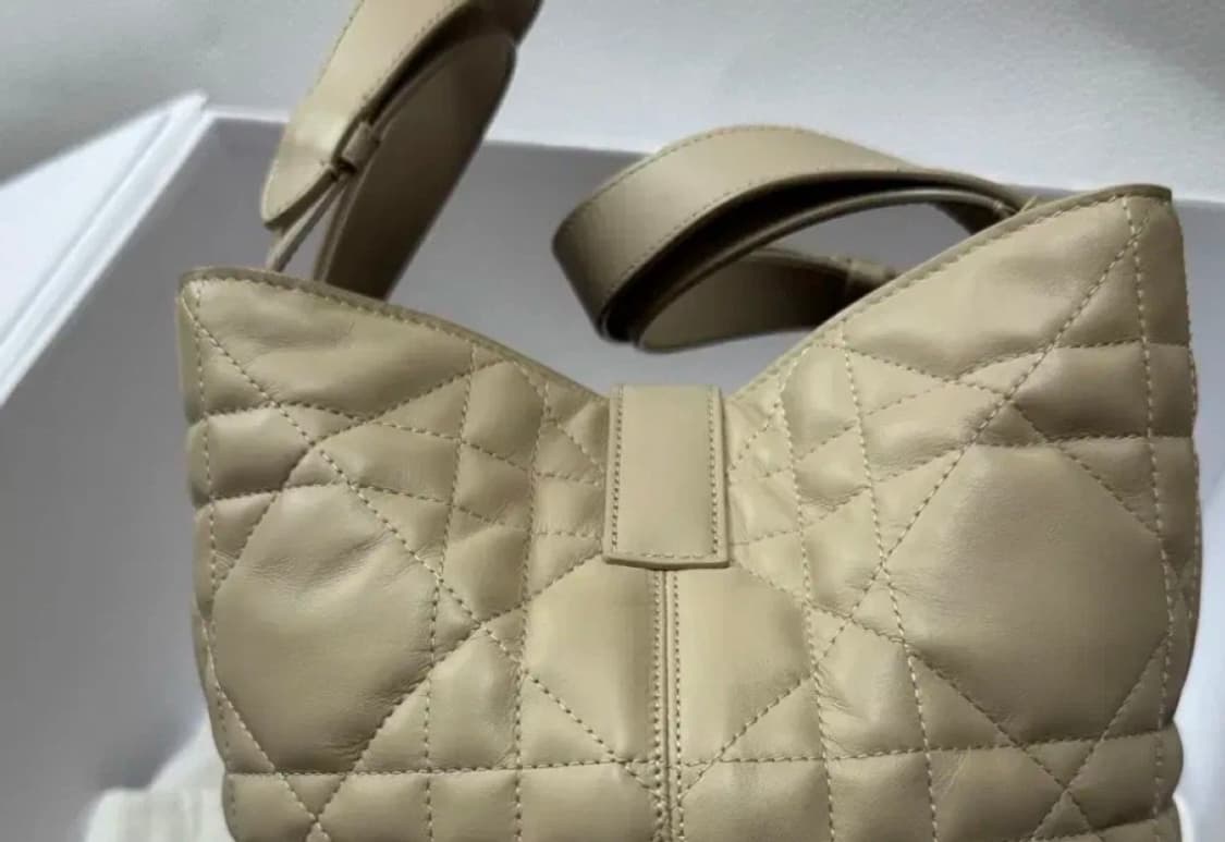 디올 뚜주흐백 미듐 베이지 상품이미지2