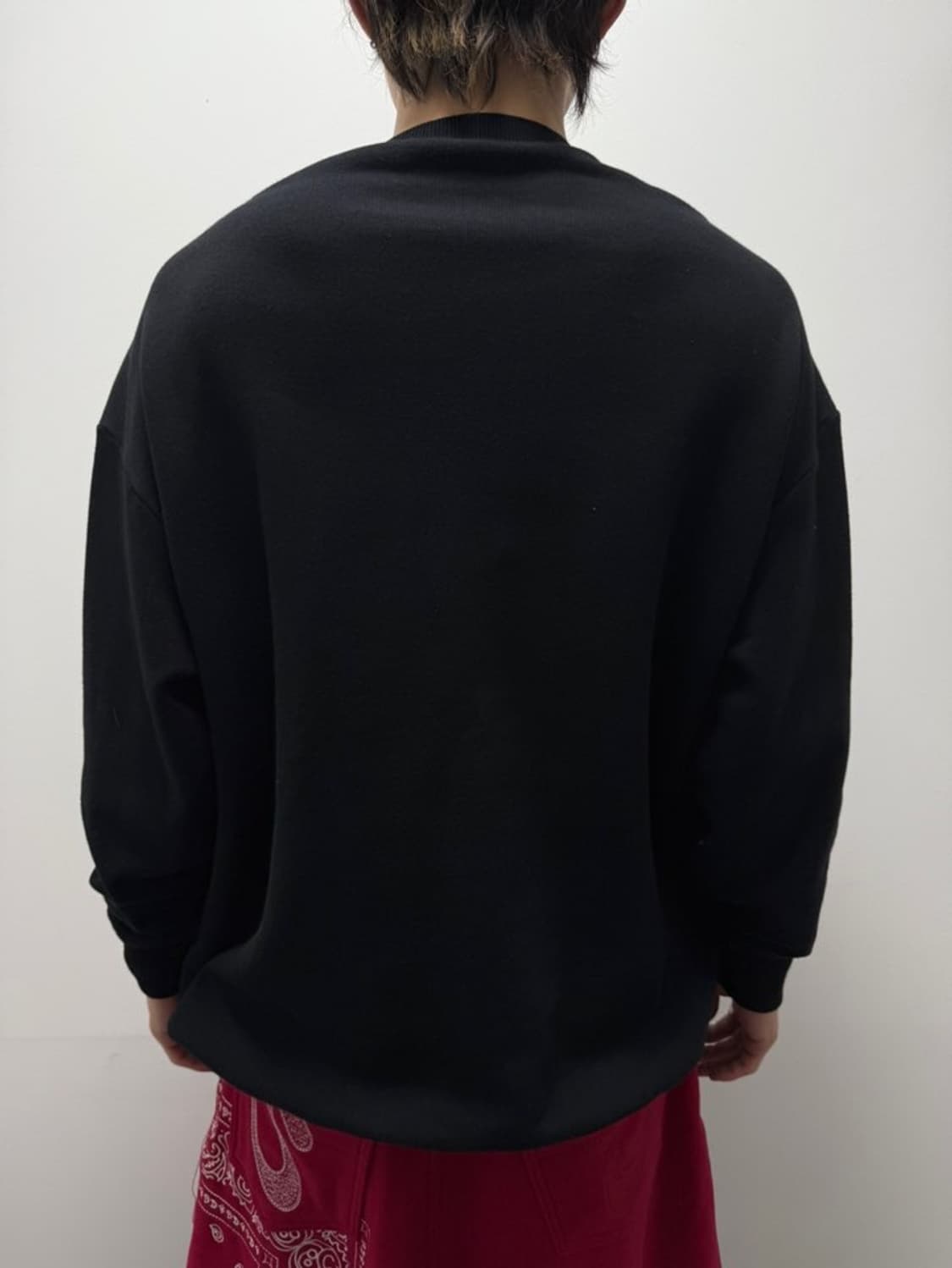 WALTER VAN BEIRENDONCK 2016 FW 상품이미지10