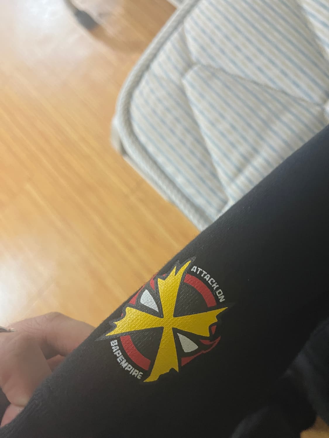 BAPE x Attack on Titan 후드집업 상품이미지3