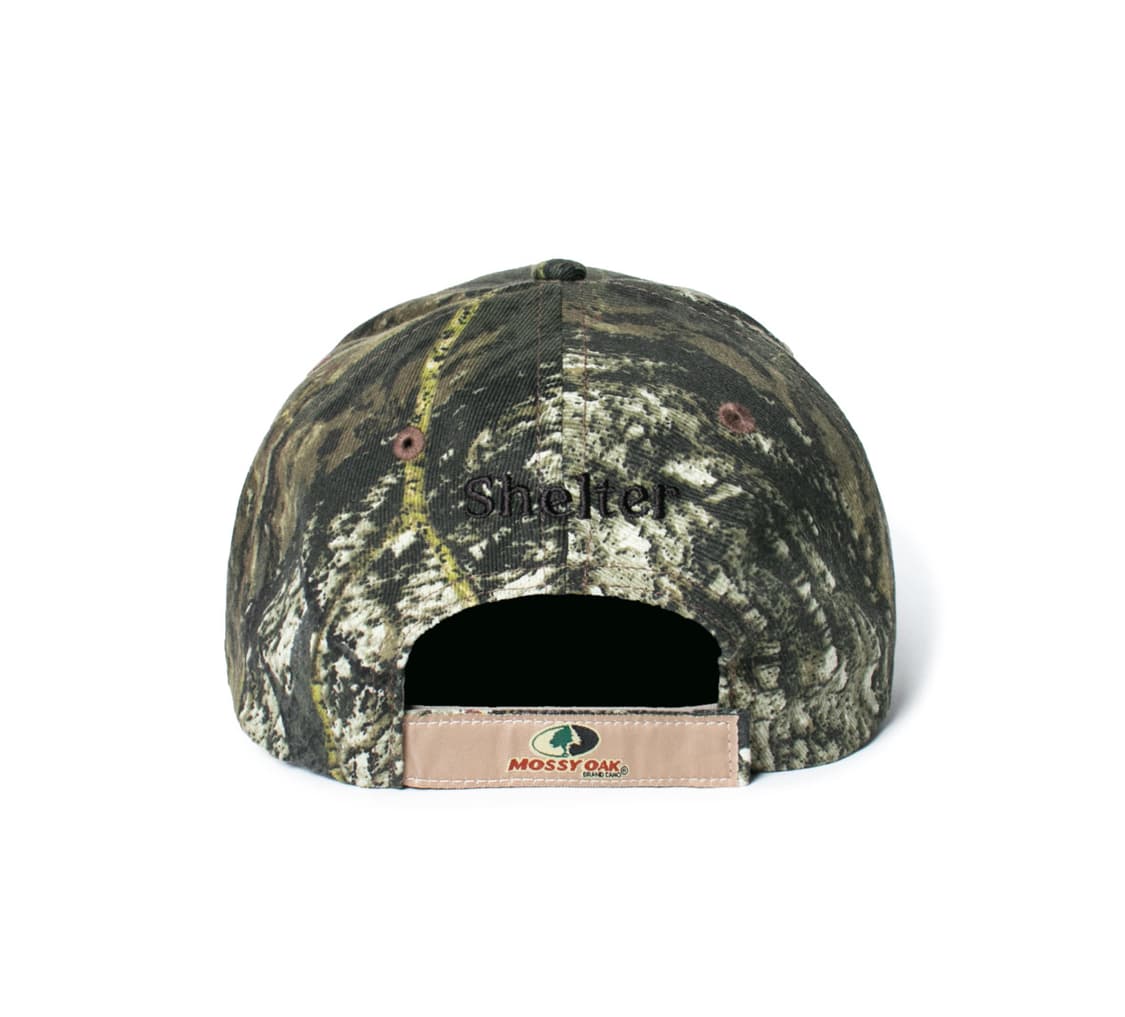 FUCT REAL TREE OVAL CAP 새상품 상품이미지3