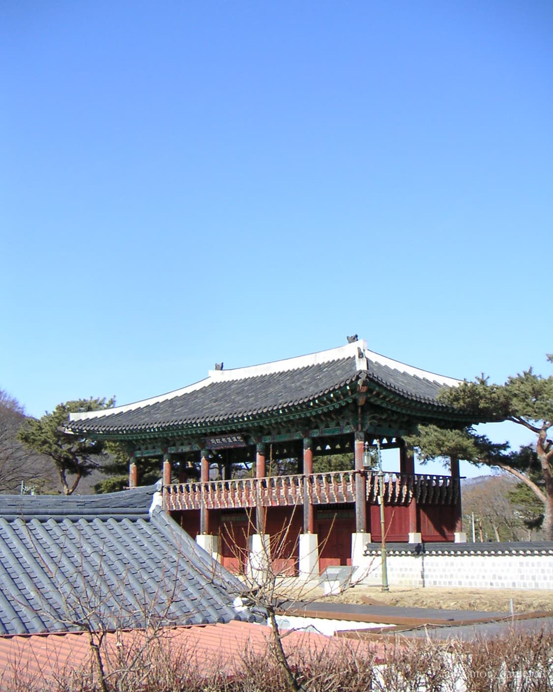 희귀컬러🩵MINOLTA DiMAGE X20 미놀타 디카 카메라 상품이미지10