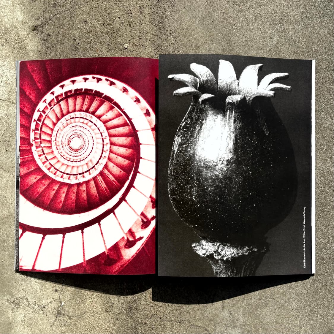 Comme Des Garcons 'Six' DM Book 상품이미지4