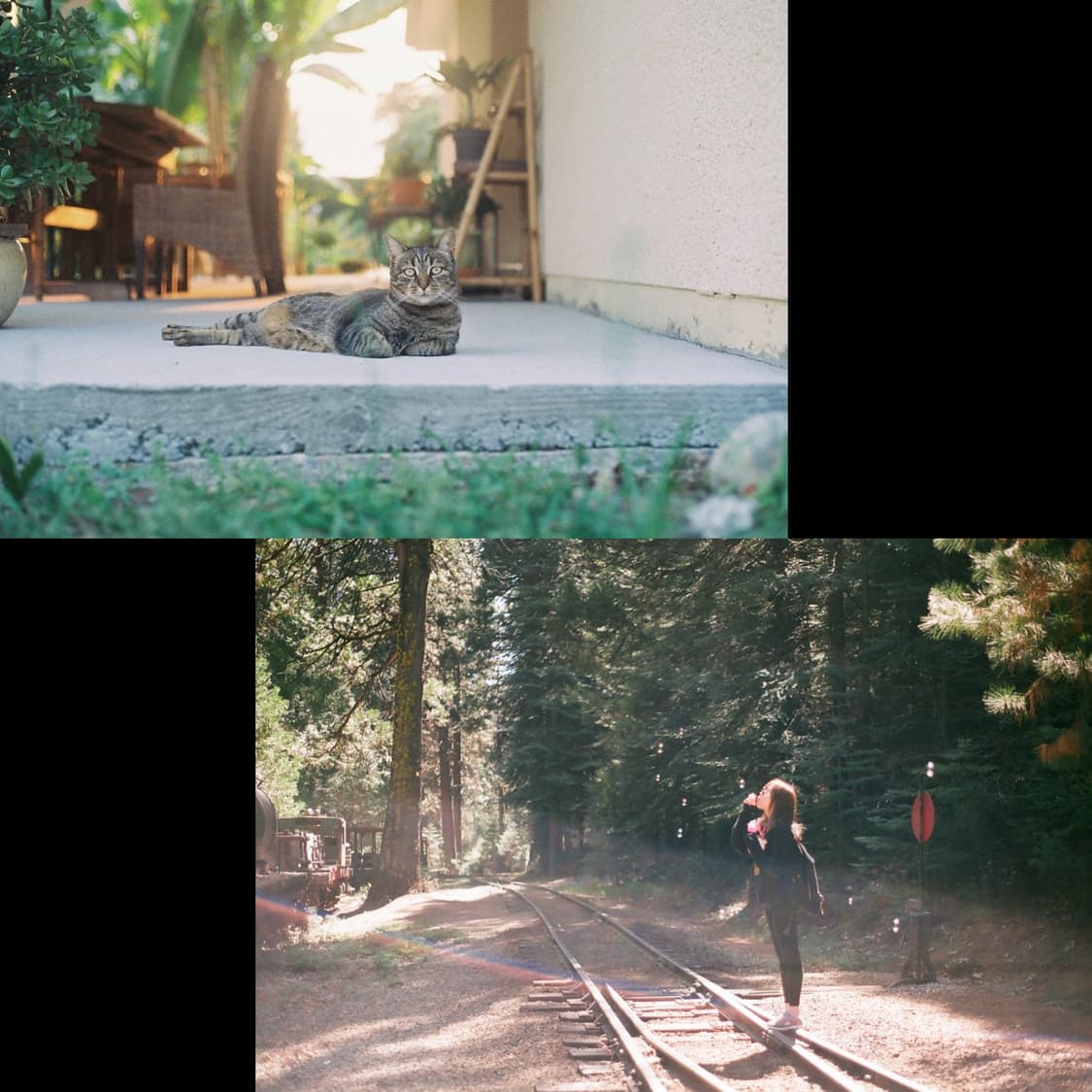 수동카메라 캐논 ae-1 (작례 0) 상품이미지3