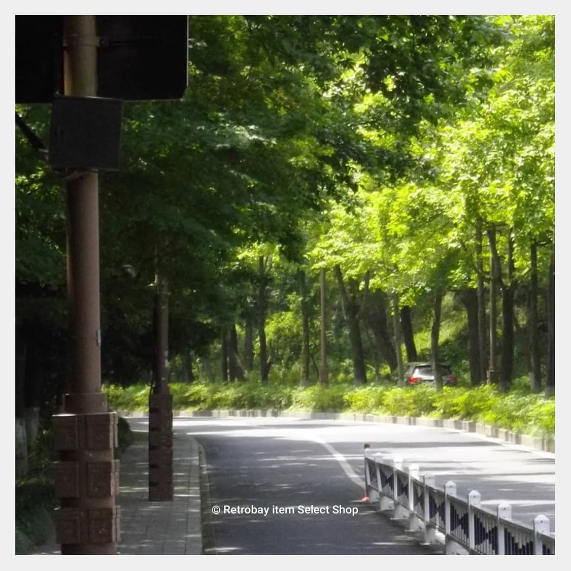 펜탁스 RS1500 + 아이폰5c 무료증정! 상품이미지9