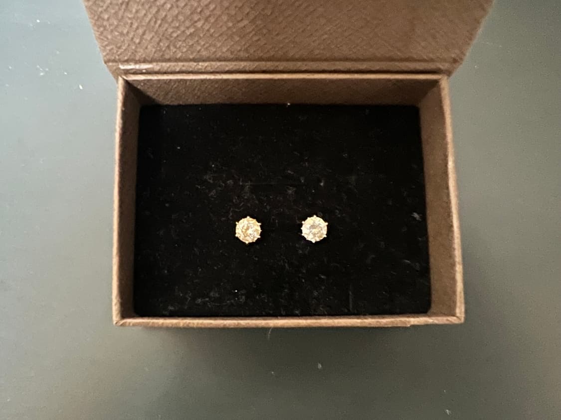 쇼트벗스터닝 쇼트몬트 귀걸이 ver.2 케이스 포함 상품이미지4