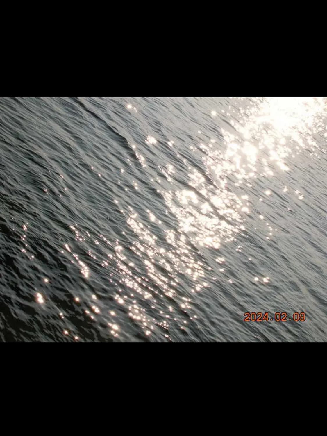 니콘 쿨픽스 4100 퍼플 상품이미지3