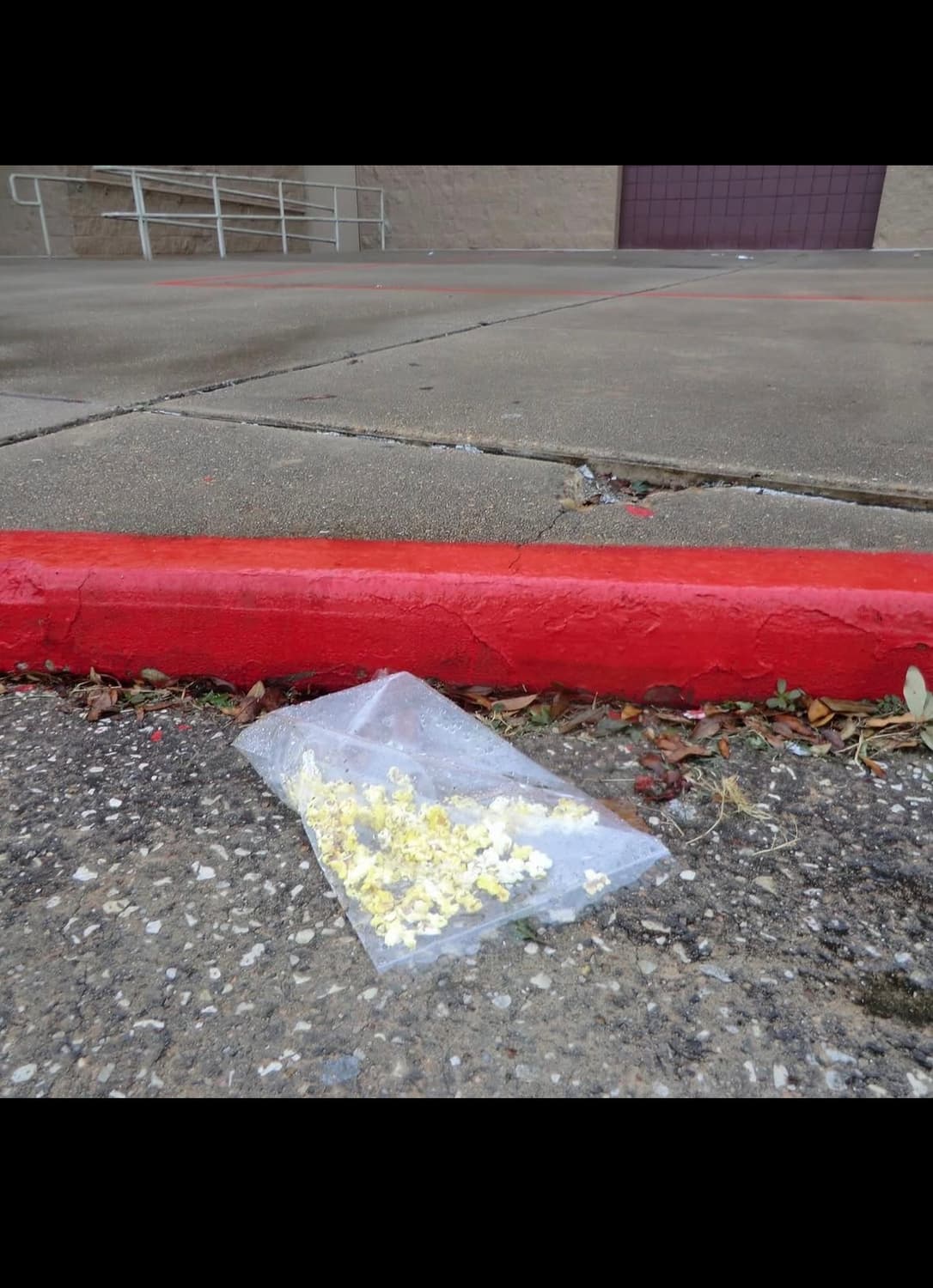 카시오 엑실림 ex h5 디지털카메라 상품이미지9