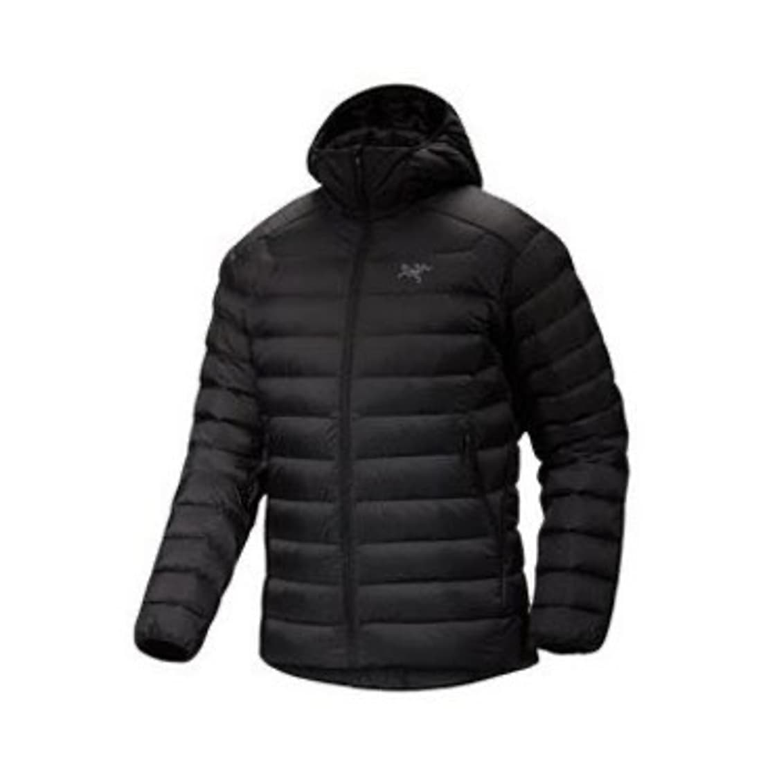 아크테릭스 세륨 후디 블랙 L 상품이미지1