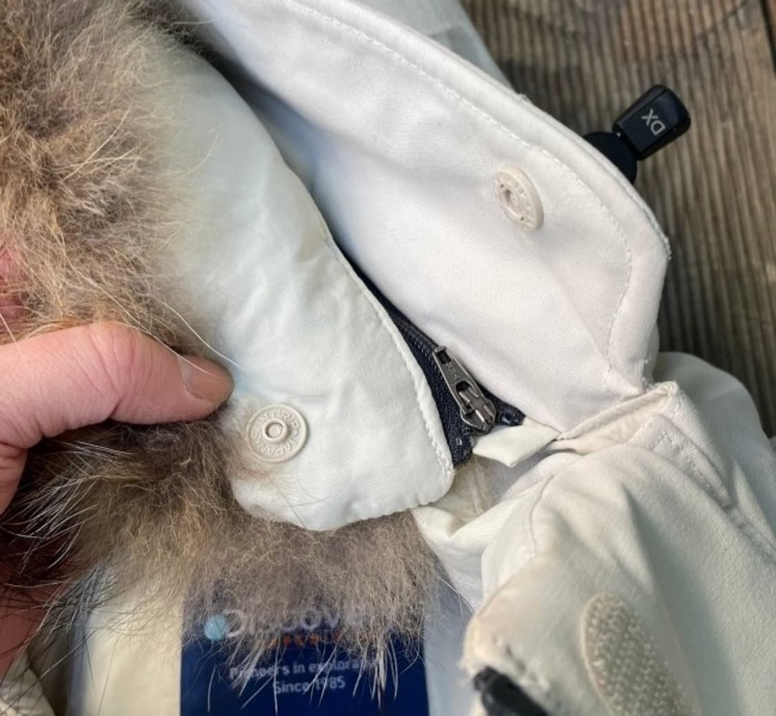 디스커버리 라쿤 구스 거위털 여자 패딩 90~95 상품이미지4