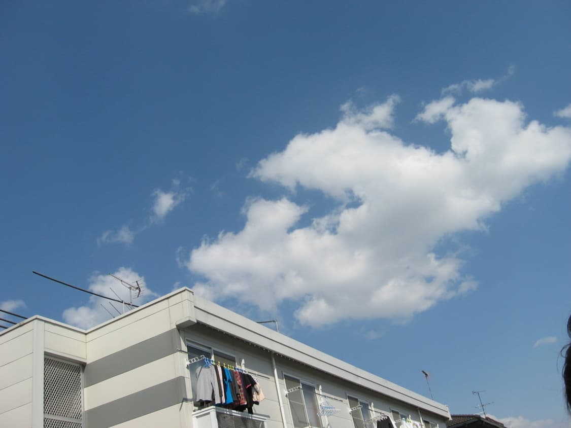 캐논 파워샷 Canon PowerShot A560 실버 상품이미지2