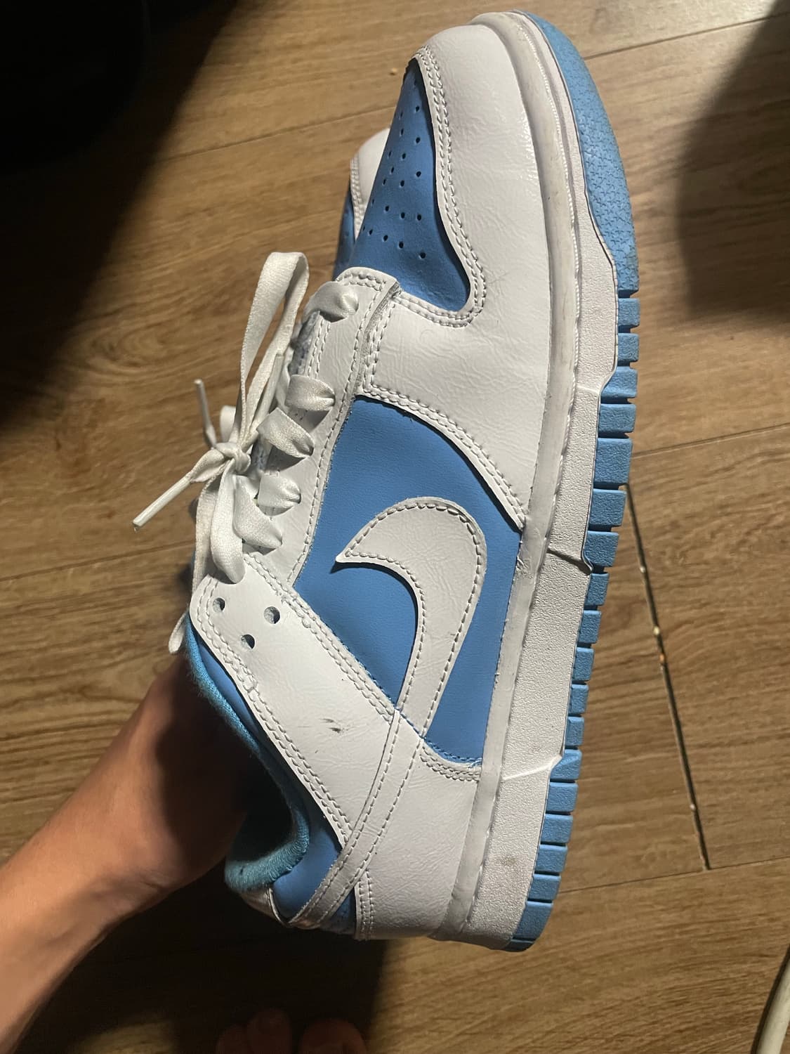 나이키 덩크 유니버시티 상품이미지1