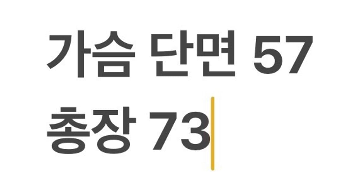 [정품/XXL] 나이키 블랙 패딩 조끼 b10 상품이미지7