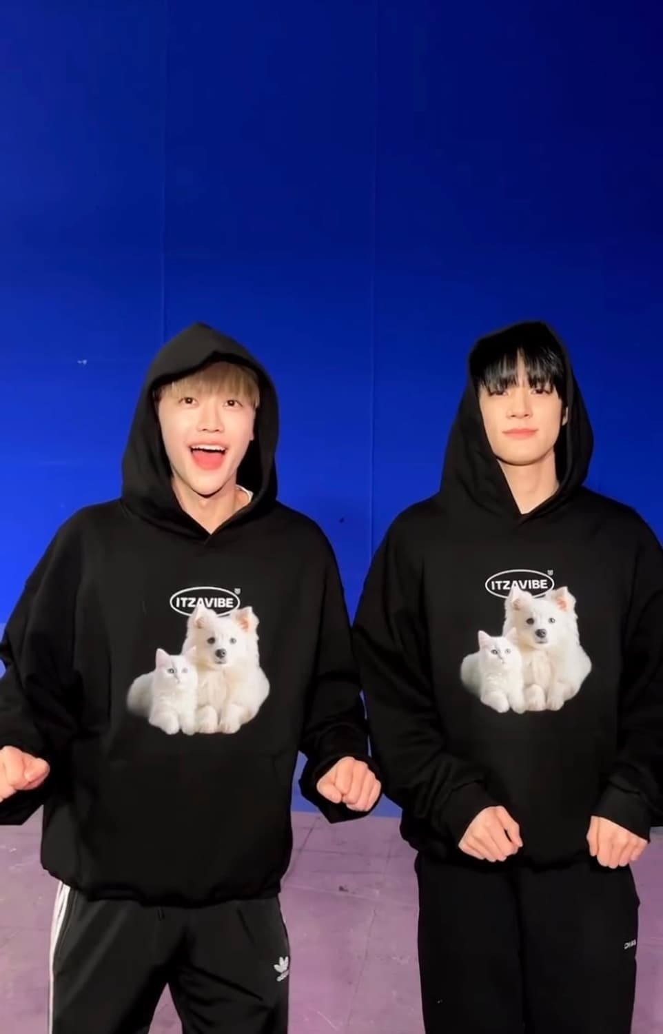 잇자바이브 CAT&DOG FRIENDS HOODIE 상품이미지5