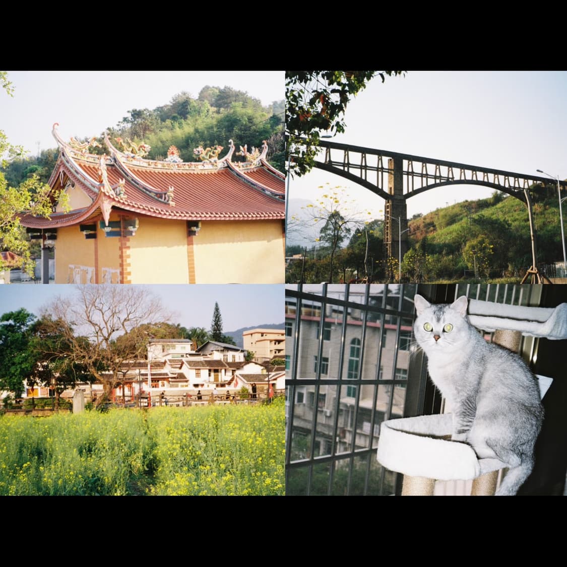 필름카메라 교세라 lynx90 (작례 0) 상품이미지4