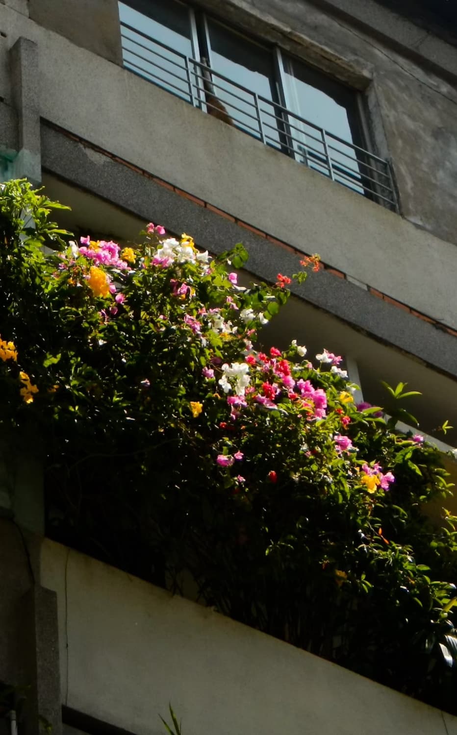 작례ㅇ 니콘 쿨픽스 aw100 카모 nikon coolpix aw100 상품이미지9