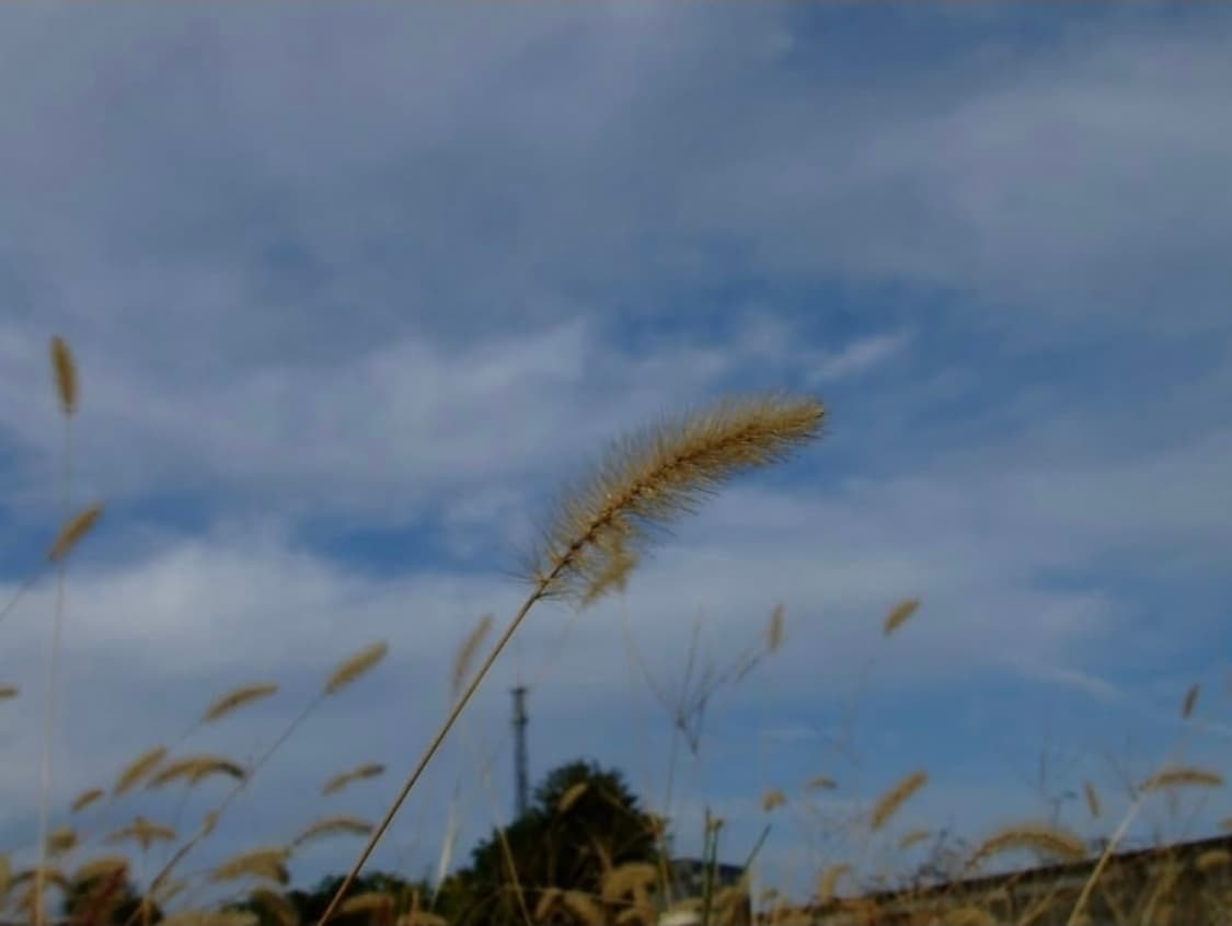 🤍 FinePix Z3 🤍 (후지필름 파인픽스 Z3) 실버 상품이미지5