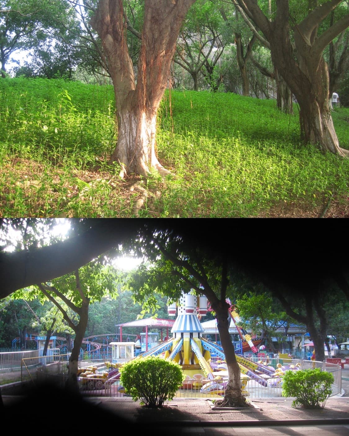Canon ixus 750 상품이미지5