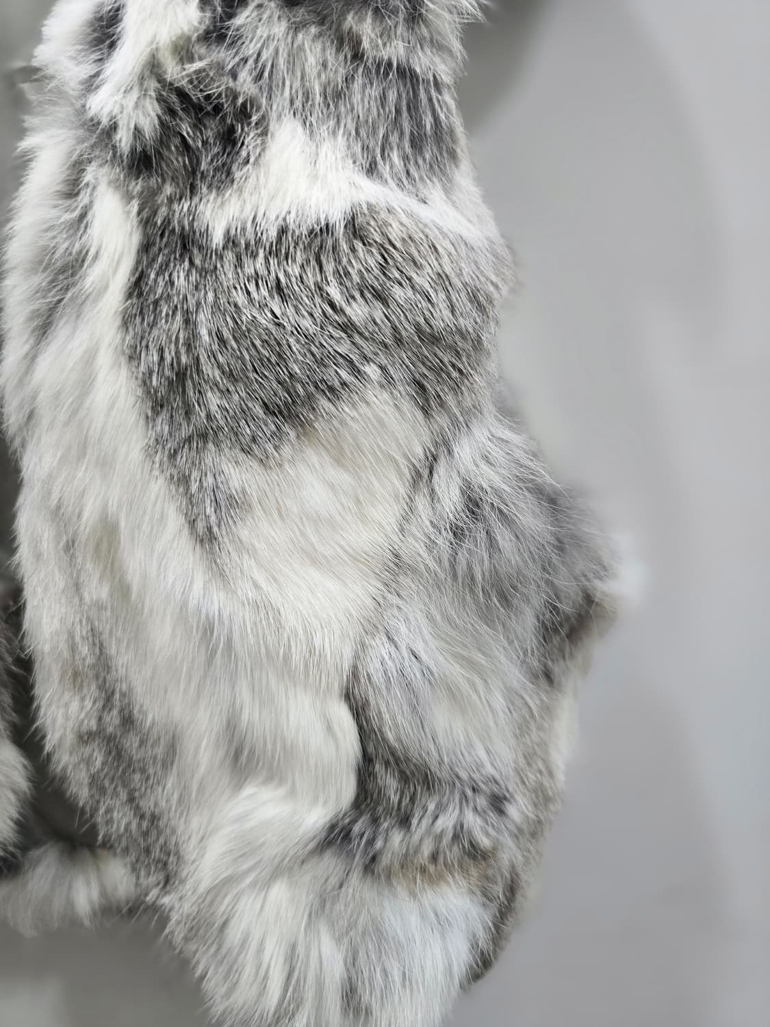 earth 레빗  미니베스트 상품이미지2