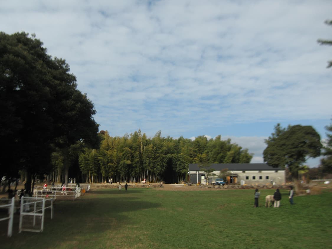 캐논 익서스750(canan ixus750) 상품이미지6