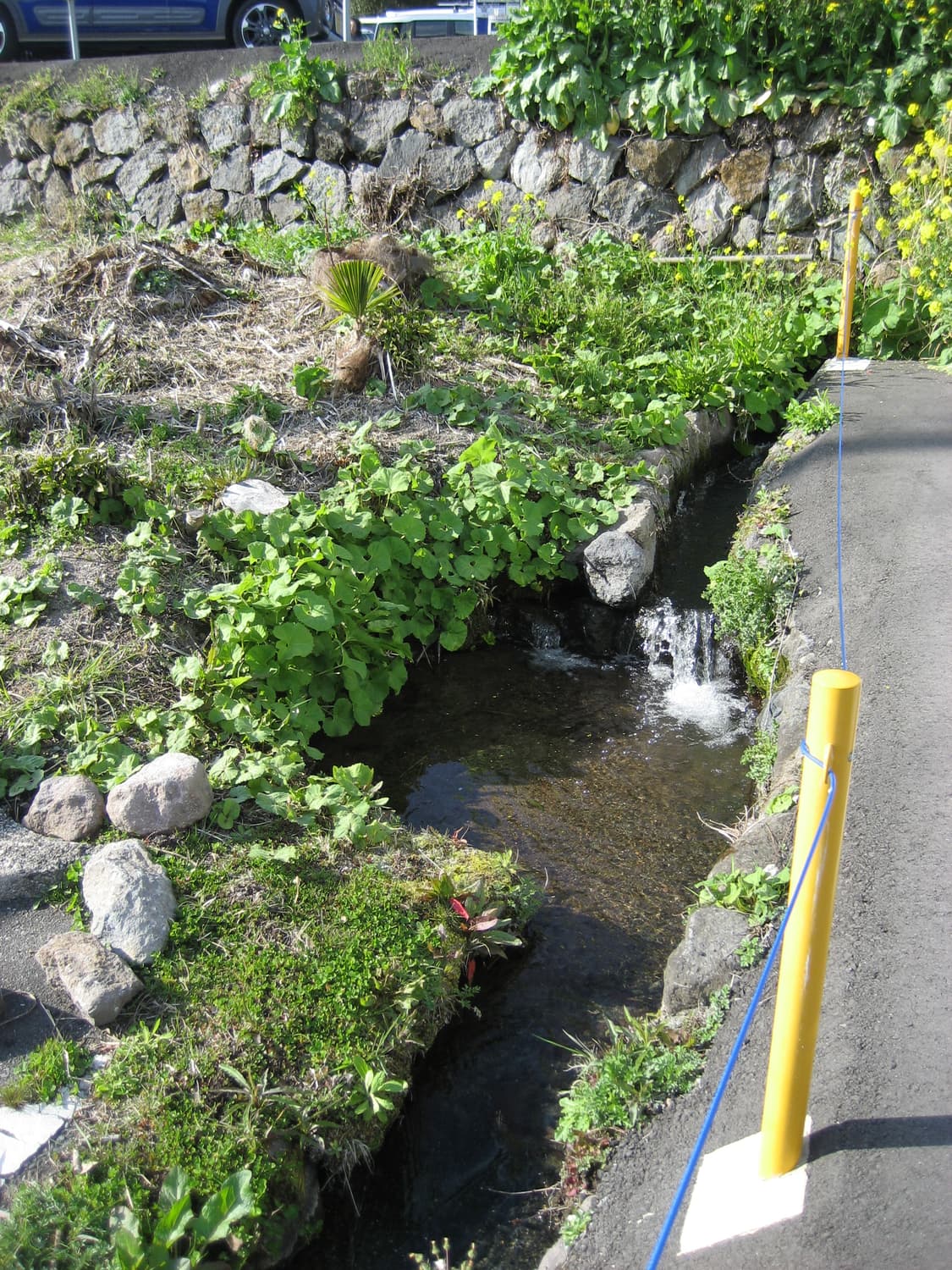 ❤️‍🔥초강추❤️‍🔥캐논 익시 디지털70 (익서스60)  작례O 상품이미지10