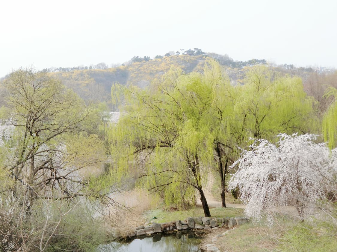 (작례 O) 카시오 엑슬림 ex-zr60 아이보리 상품이미지9