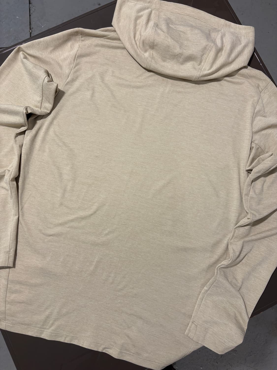 아크테릭스 후드티 상품이미지7