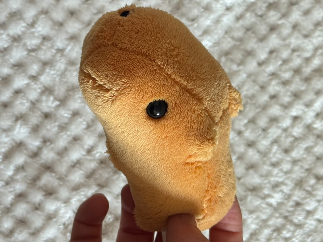 카피바라 인형 상품이미지2