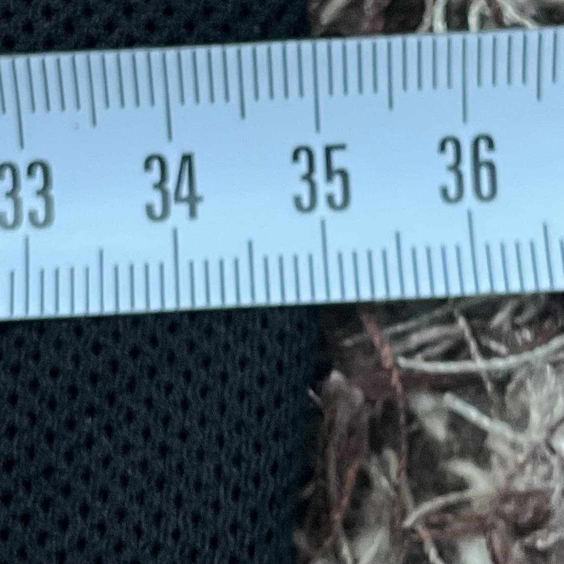 XL 나이키 쇼츠 반바지 상품이미지6