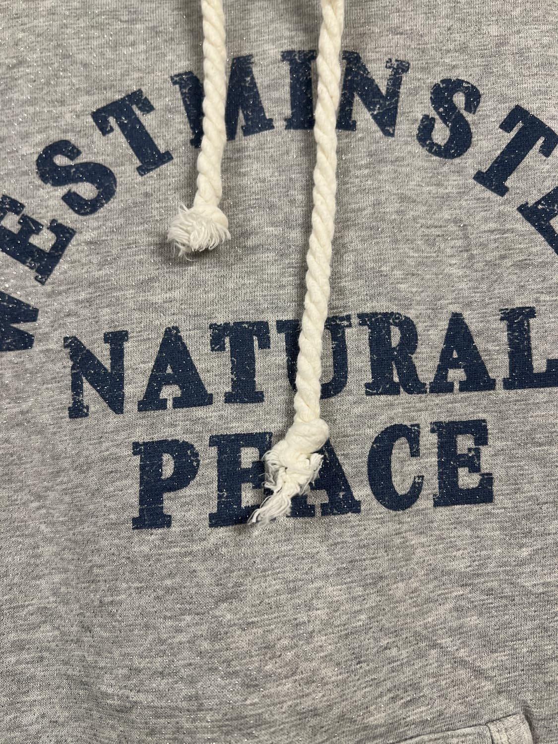 M) JPN chocol raffine글리터 프린팅 후드 원피스 T294 상품이미지3