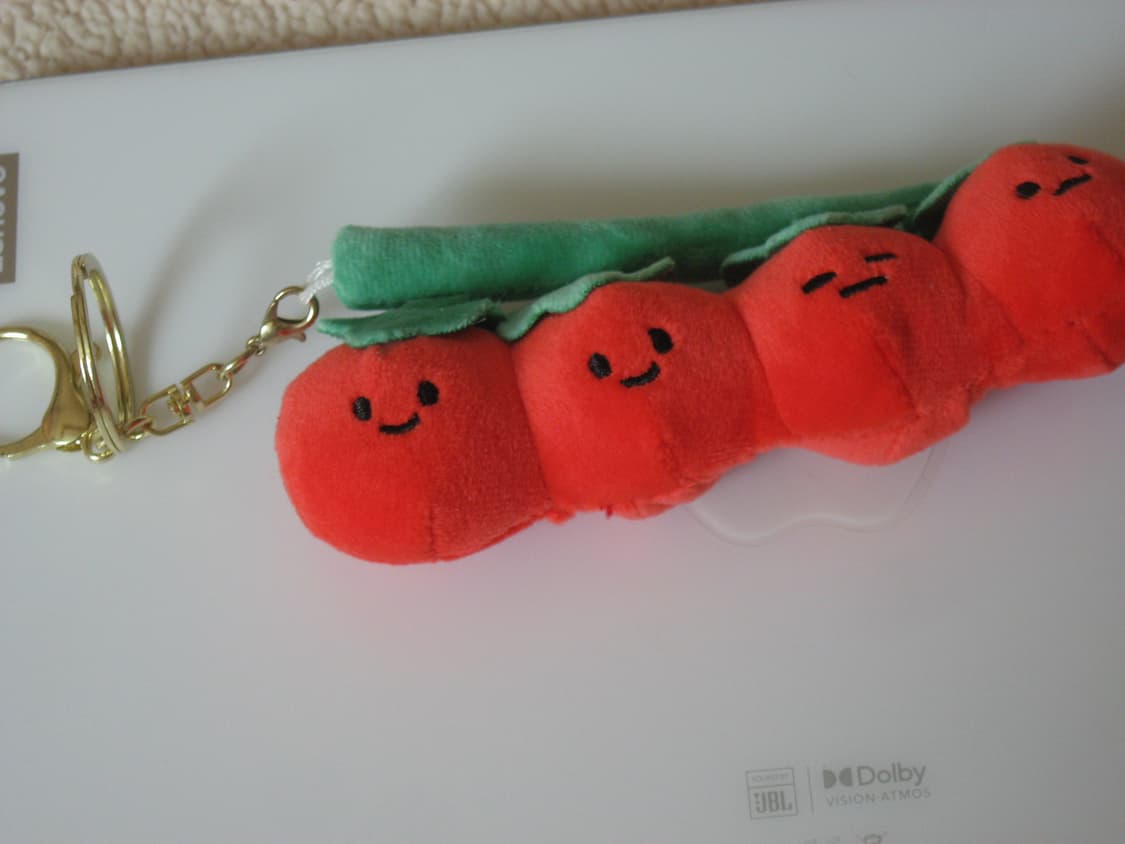 캐논 Canon IXY 800 IS /IXUS 800 IS 빈티지 디지털 상품이미지4