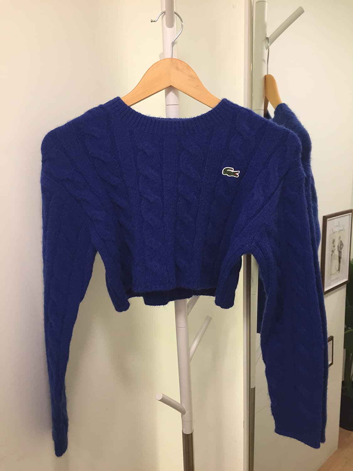 여성 라코스테 꽈배기 크롭니트 95 상품이미지4