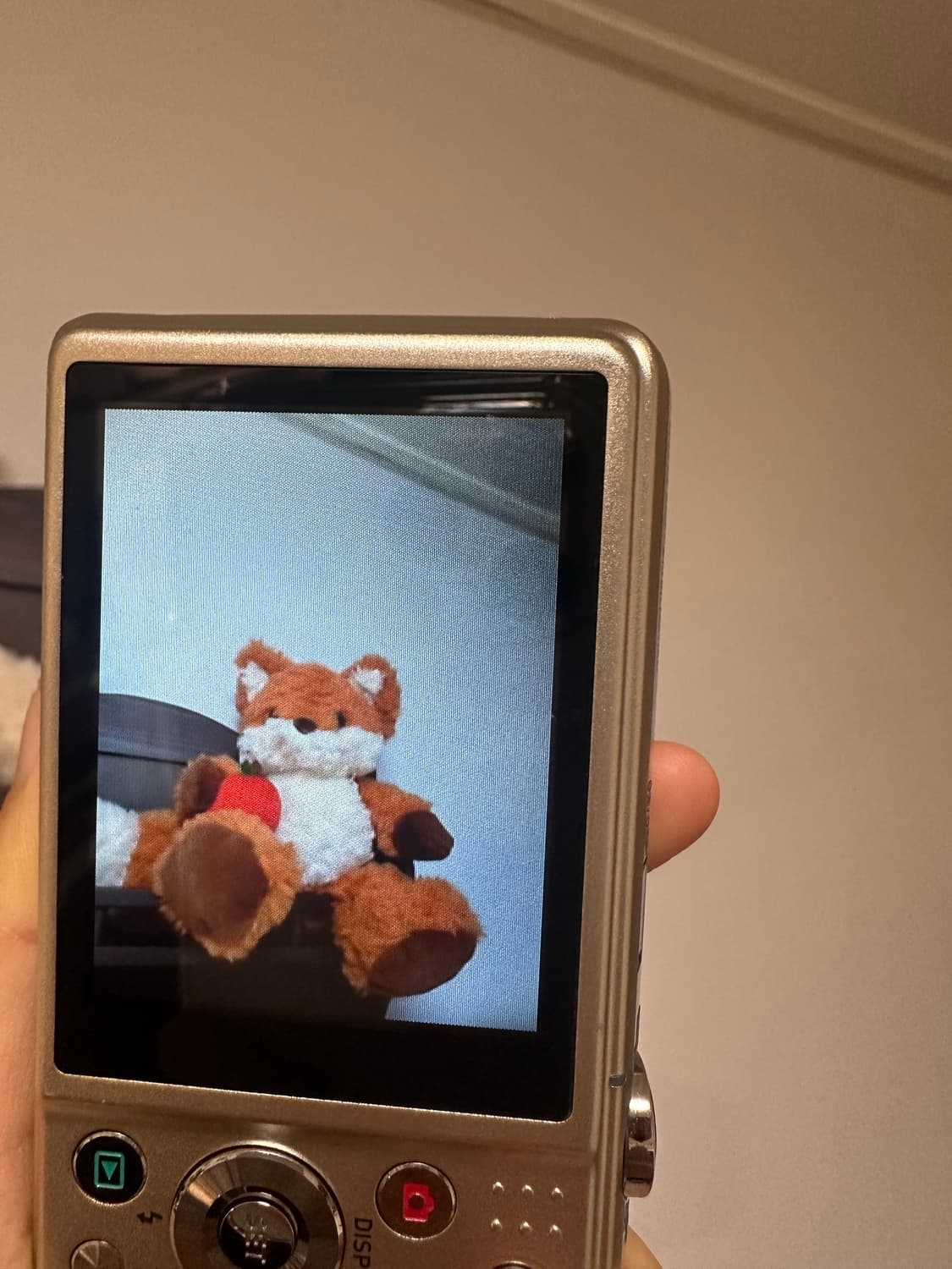 카시오 zs170 디카 디지털카메라 카메라  상품이미지2