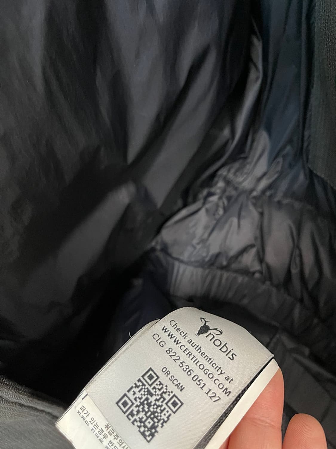 여) 노비스 아스트리스 다운패딩  상품이미지8