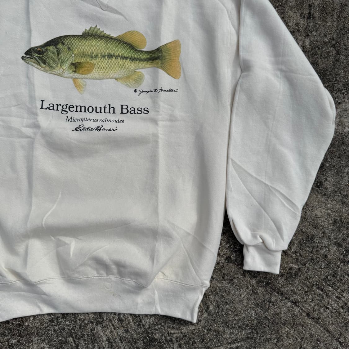 [M] 90s 에디바우어 Bass 프린트 스웻셔츠 상품이미지4