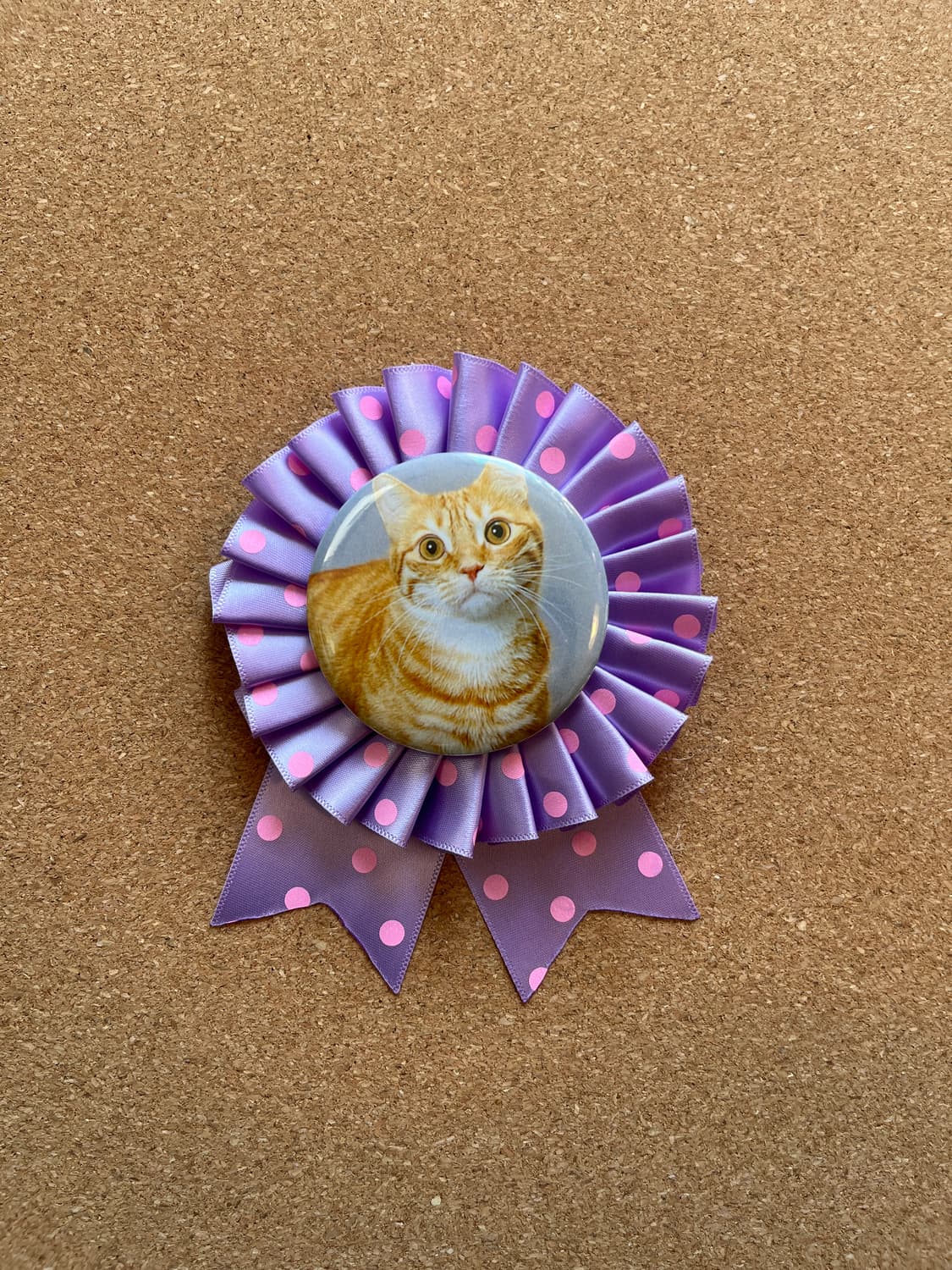 치즈냥이 로제트 😽 상품이미지2