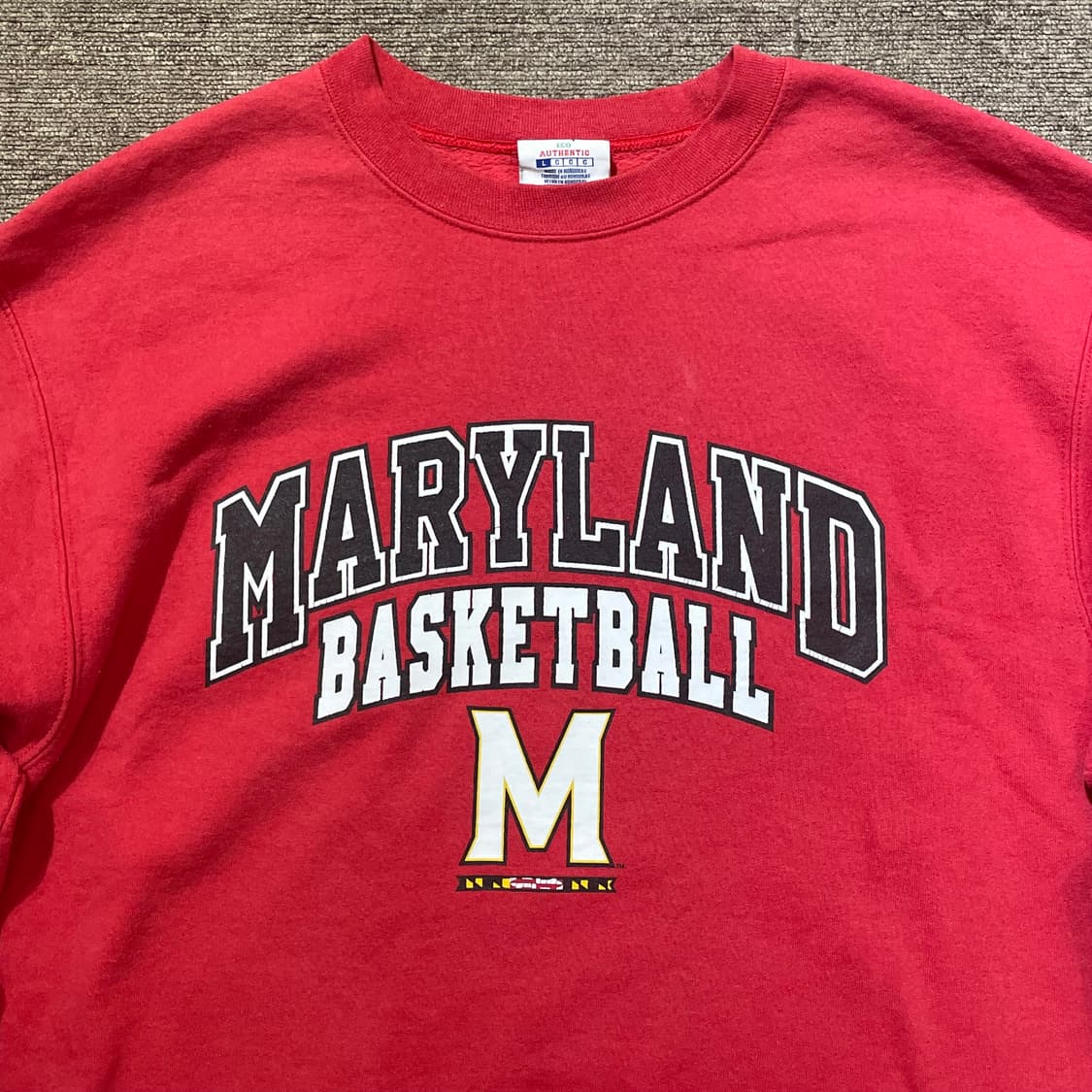 (L) Champion 챔피온 유니버시티 프린팅 스웻셔츠 맨투맨 상품이미지2