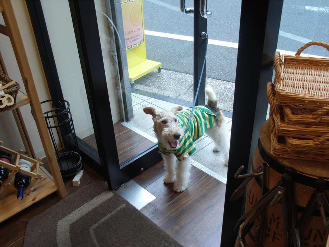 (한국어지원✨) 리코 Ricoh Caplio R5 디카 디지털카메라 상품이미지8