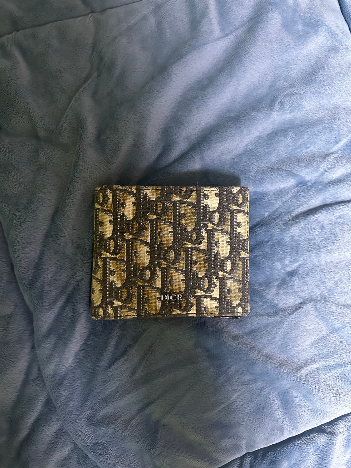 디올 오블리크 반지갑 상품이미지1