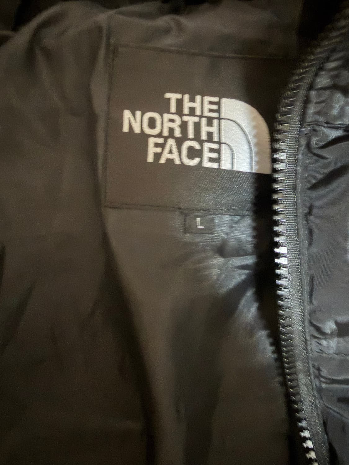 노스페이스 미국판 눕시 700 L사이즈 상품이미지2